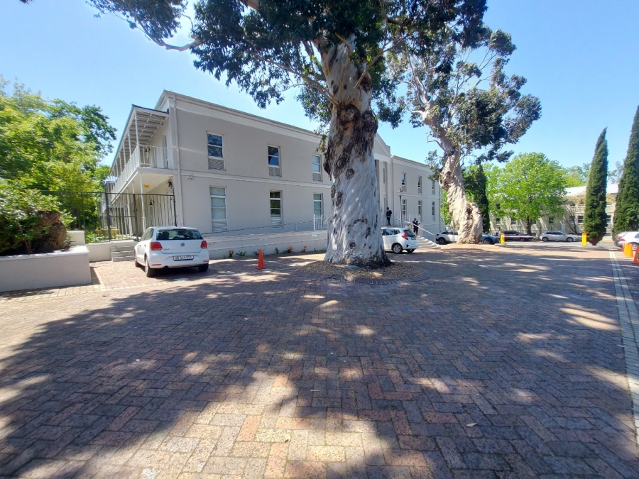 To Let commercial Property for Rent in Rondebosch Western Cape